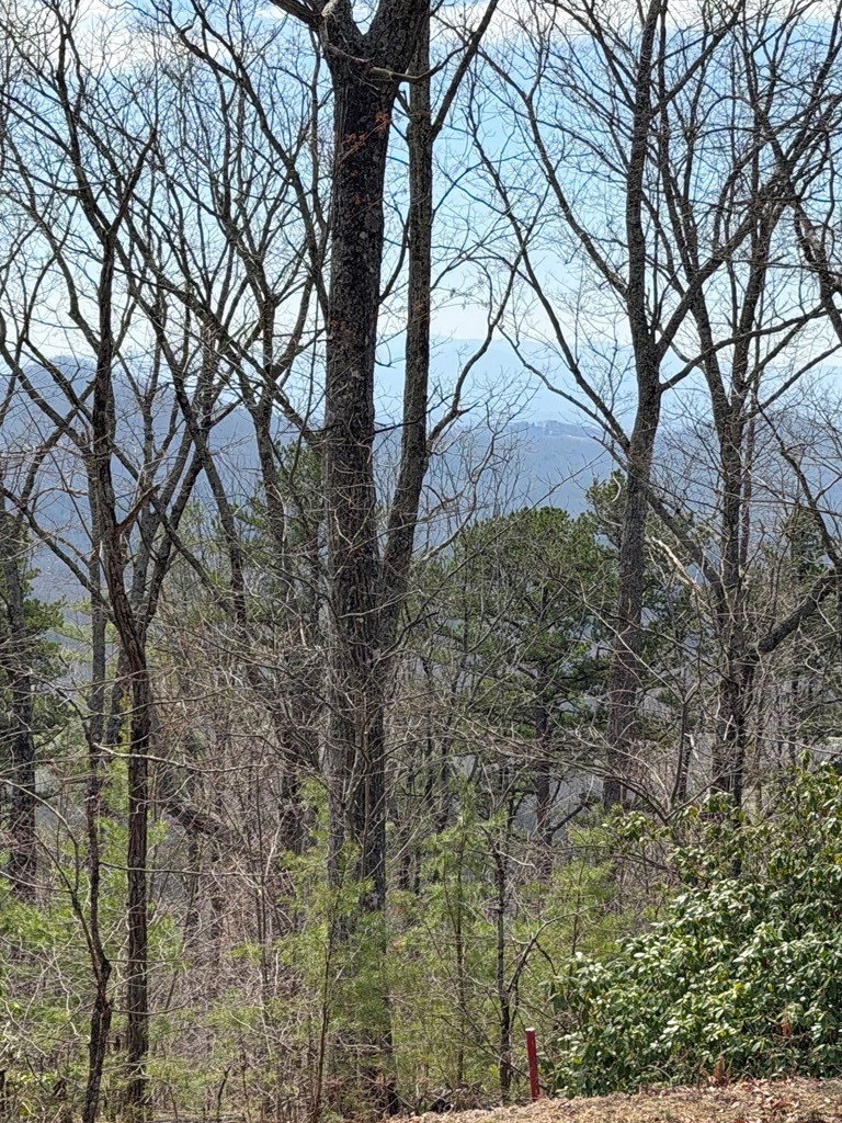 7.26 AC Panorama Drive