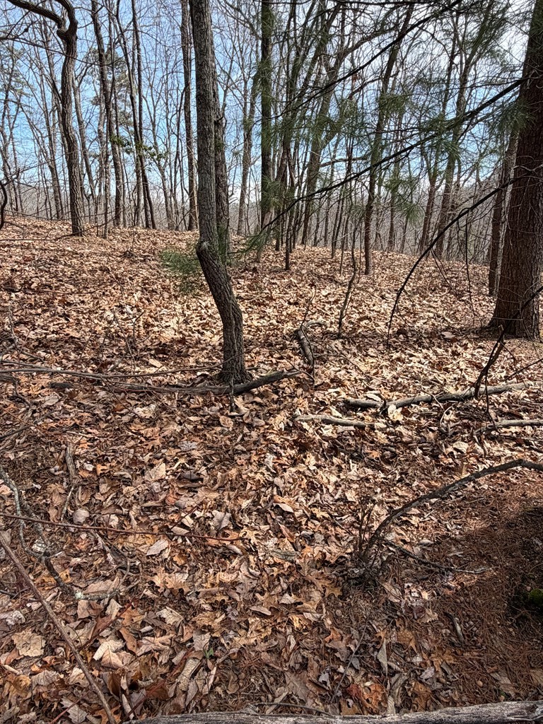 7.26 AC Panorama Drive