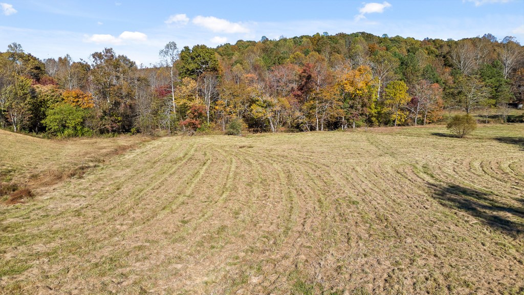 Lot 14 Bravo Way