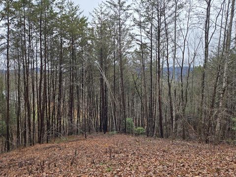 Lot 101 Eagles View Crescent Hayesville NC 28904
