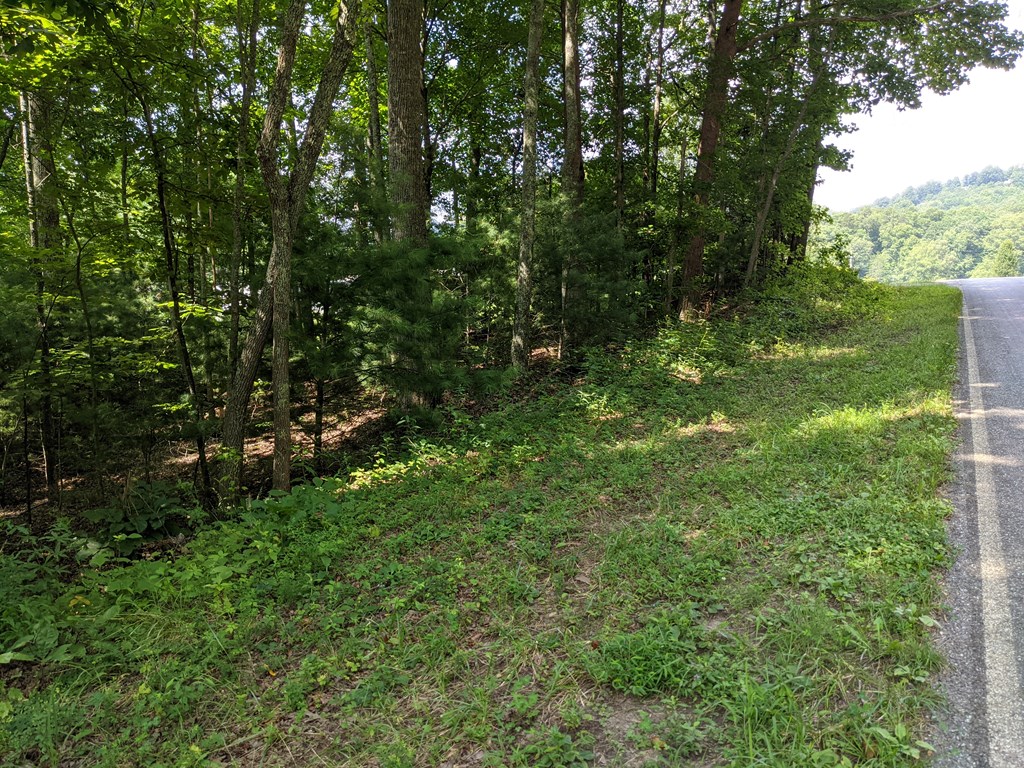 3.84 AC Matheson Cove Road