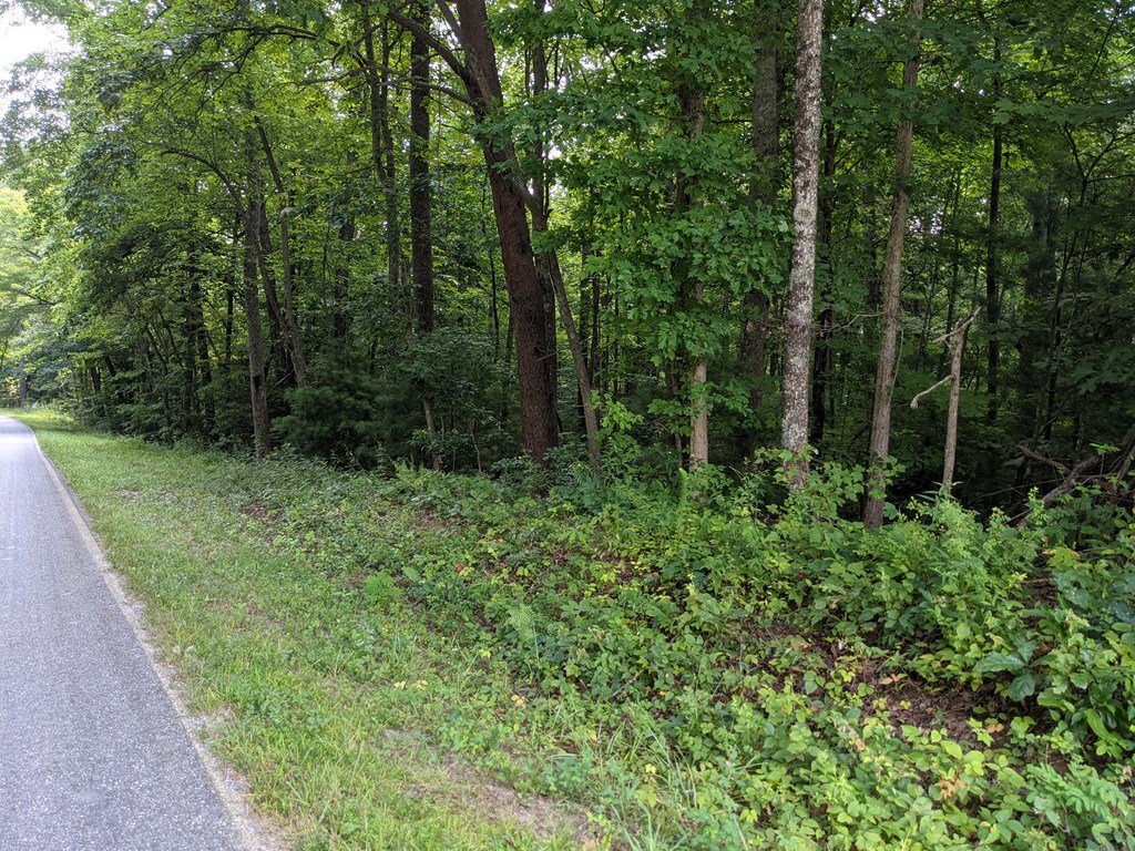 3.84 AC Matheson Cove Road