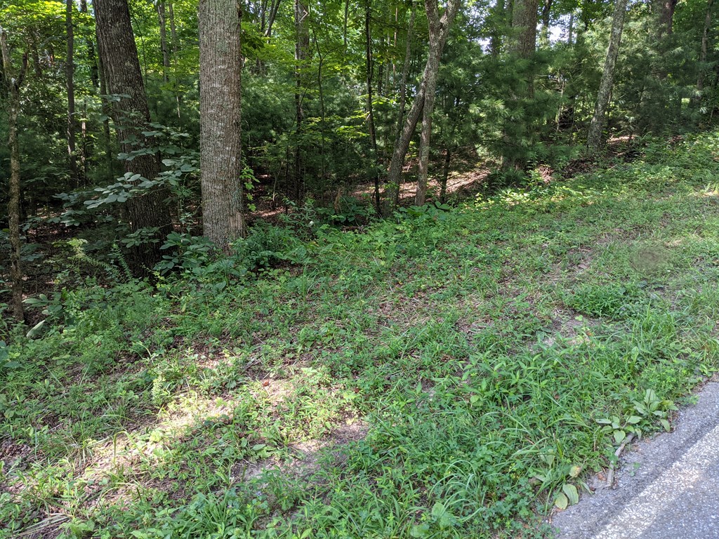 3.84 AC Matheson Cove Road