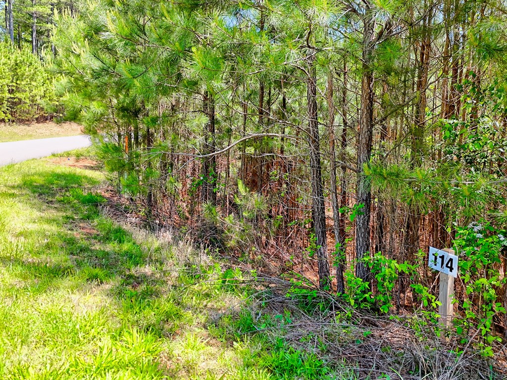 Lot 114 Sandy Lake Lane