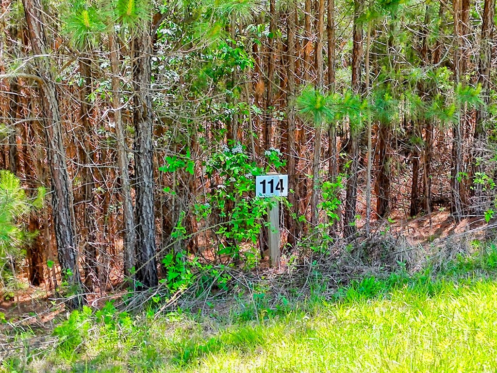 Lot 114 Sandy Lake Lane