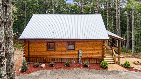 A home in Blue Ridge