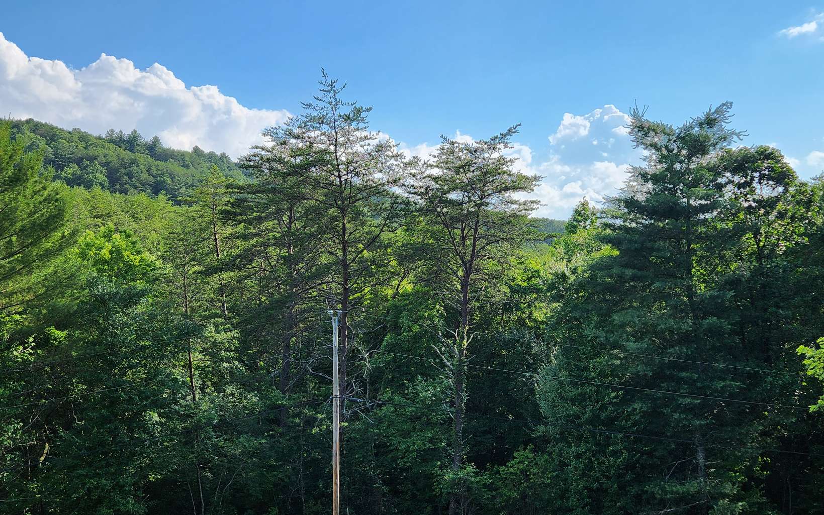 3.5AC Sassafras Ridge Road