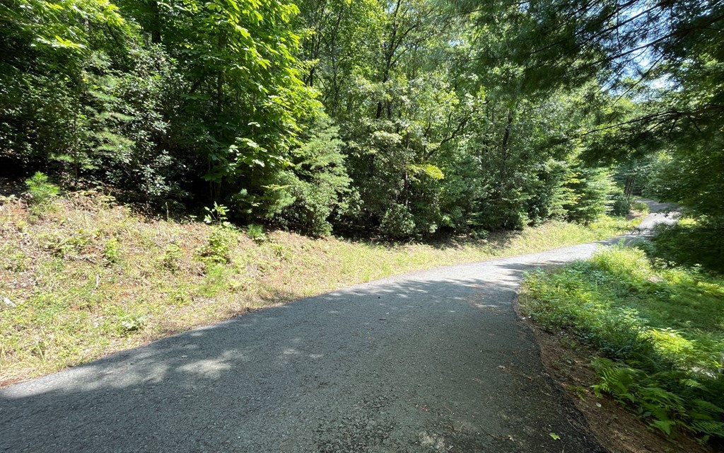LOT 28 Shelton Springs Drive
