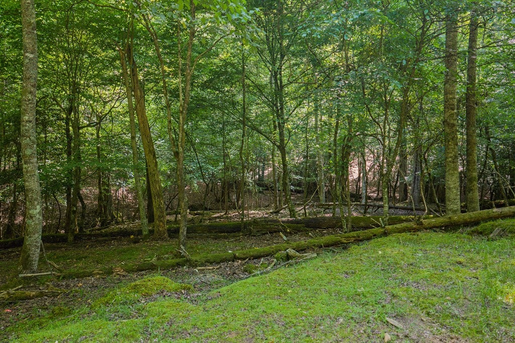 Lot 2800 Medina Court