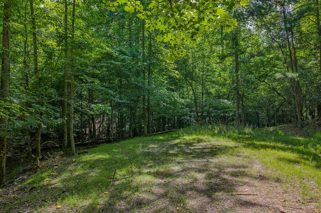 Lot 2800 Medina Court