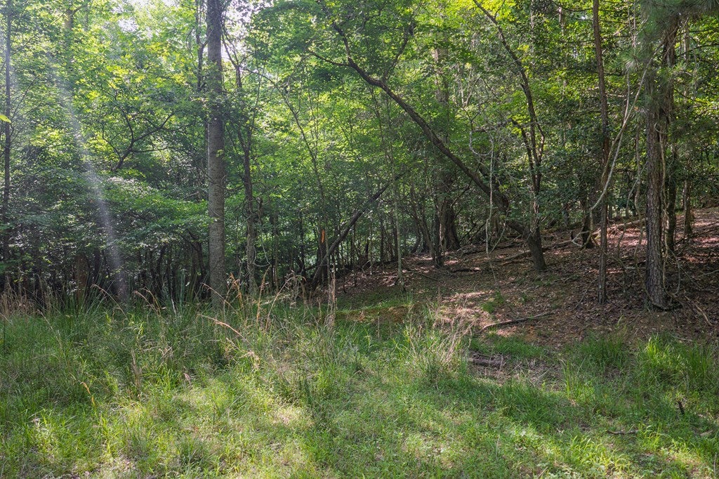 Lot 2800 Medina Court