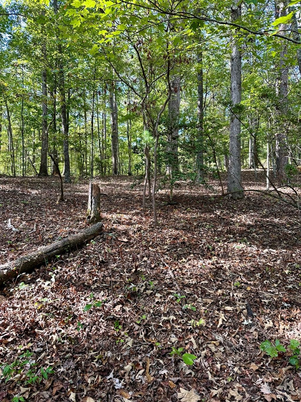 listing image 26