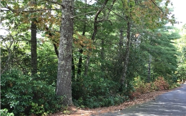 #18 Shelton Springs Drive