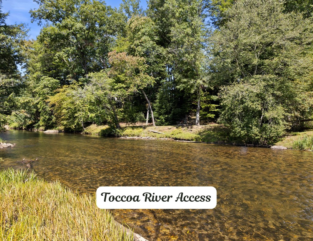 487 White Pine Trail