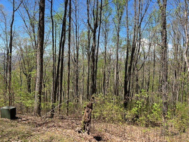 LOT 86 Rocky Knob Estates
