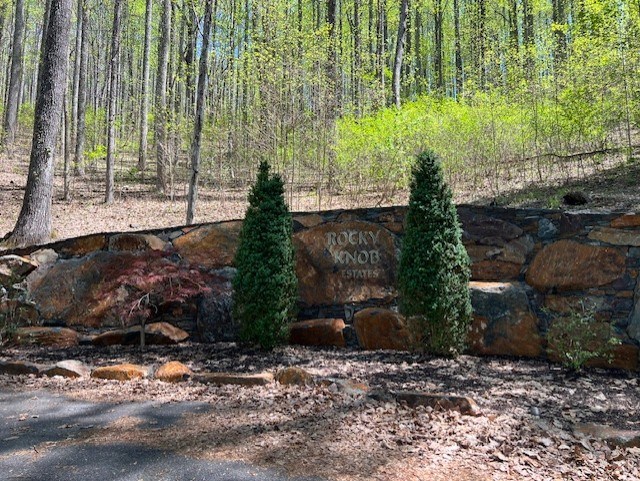 LOT 86 Rocky Knob Estates