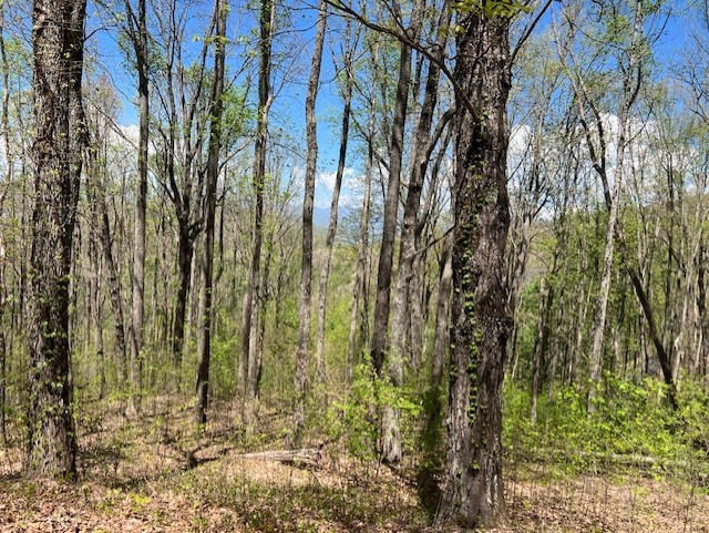 LOT 86 Rocky Knob Estates
