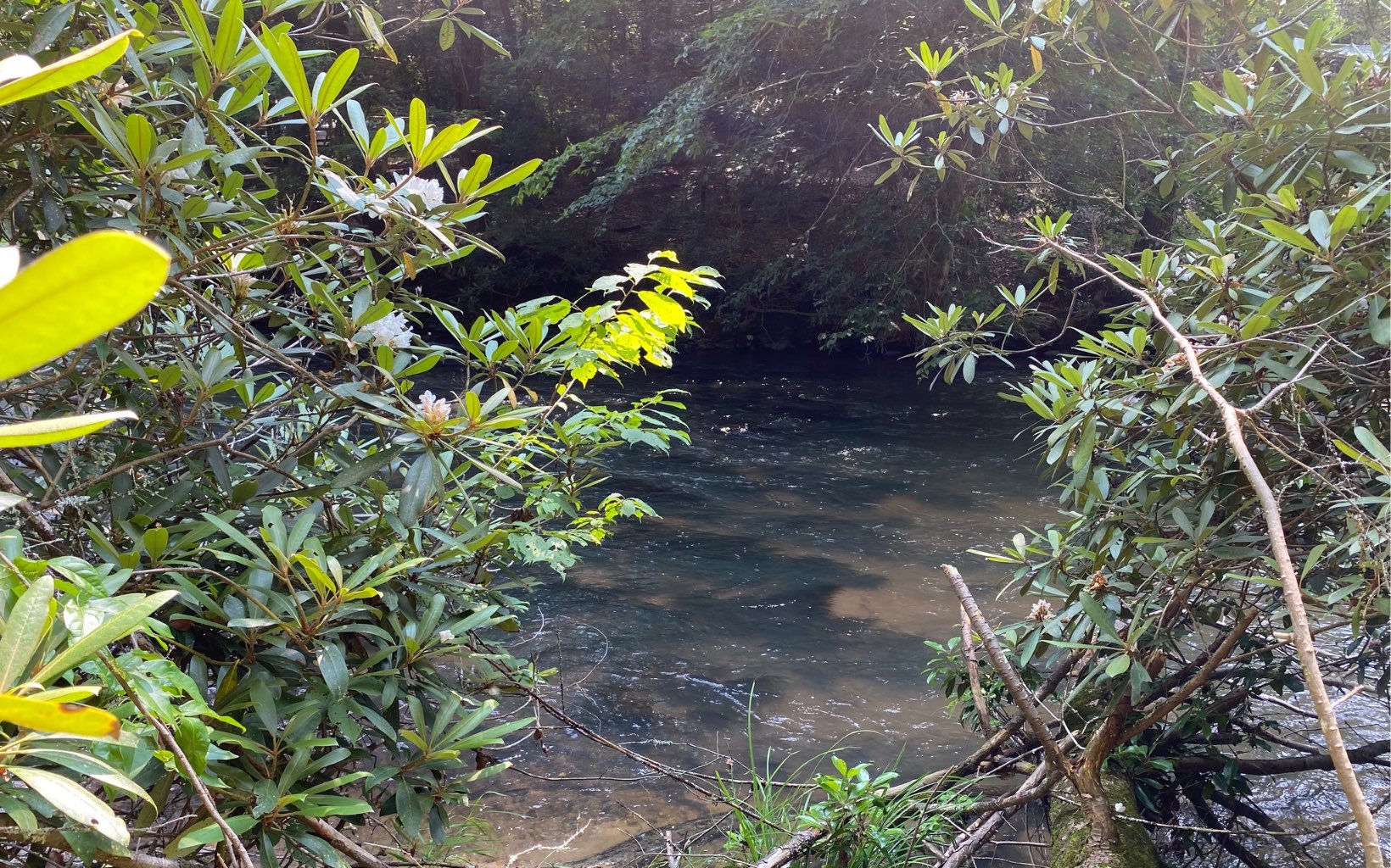 Lot 645 Wedowee Ct (Lot 645)