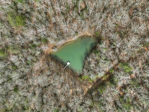 8.52 AC Mcnelley Road Morganton GA 30560