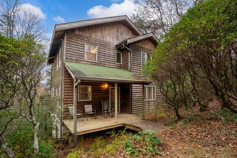 198 Hollow Log Trail Ellijay GA 30536