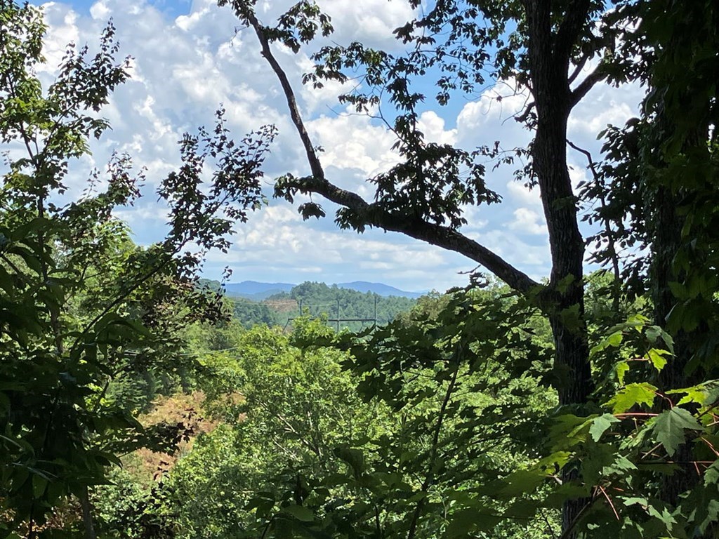 97 Concord Trail