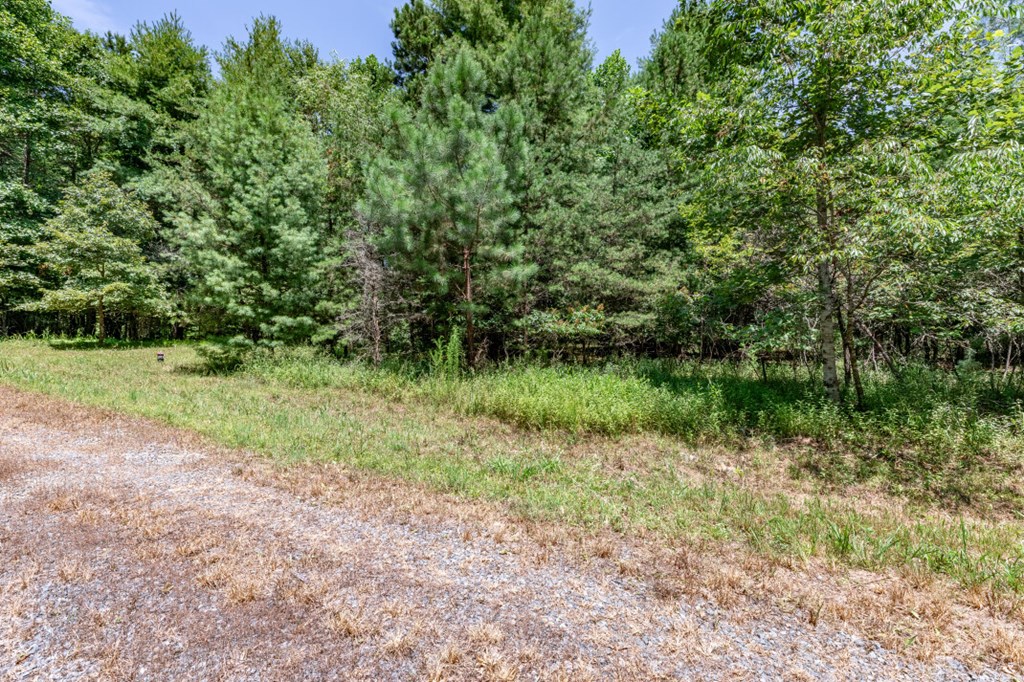 Lot 3 Rocking Chair Ridge