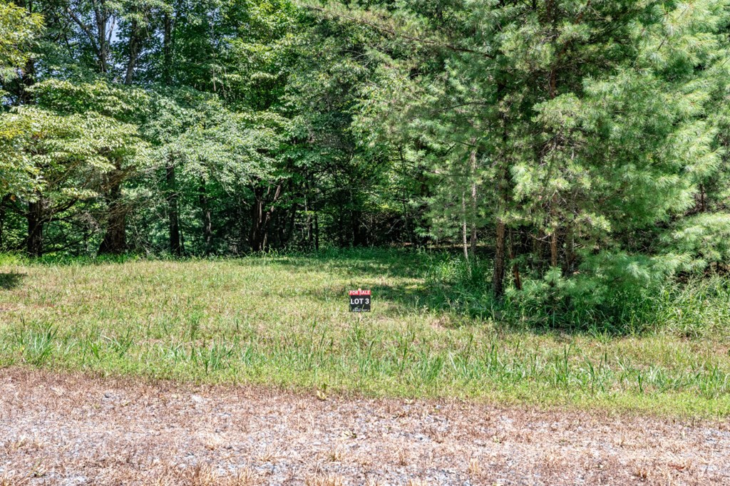 Lot 3 Rocking Chair Ridge