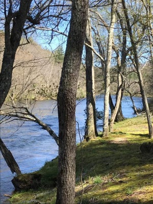 TBD RUSHING WATER TRAIL, HAYESVILLE, NC 28904 - Image 4b9af0ff121de2b52d1b3abe72828198/310683035