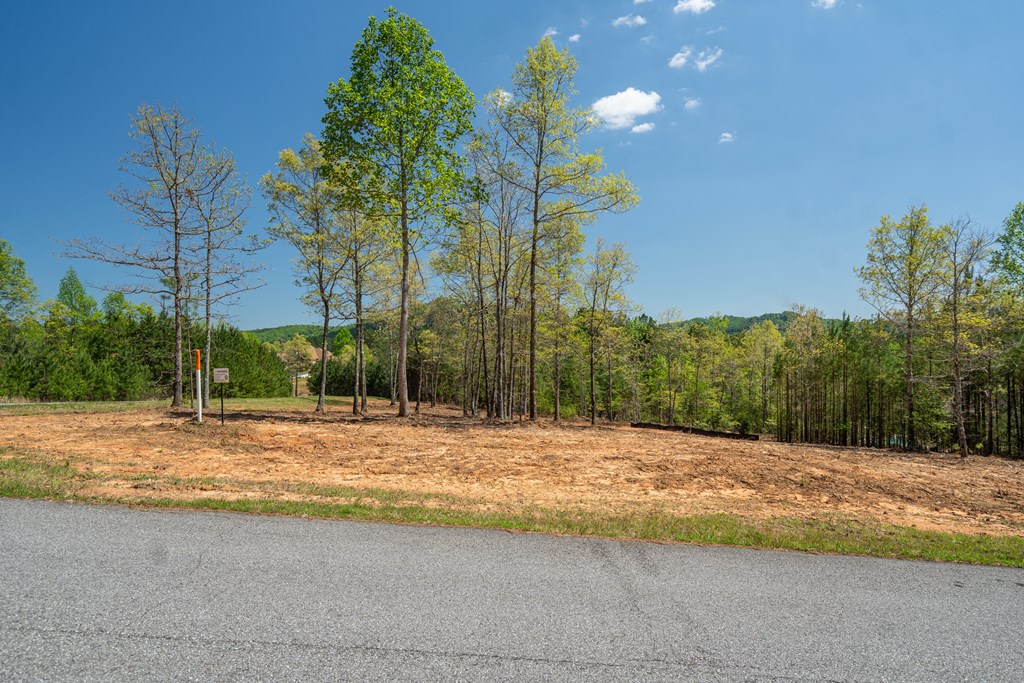 Lot 41 Sandy Lake Lane