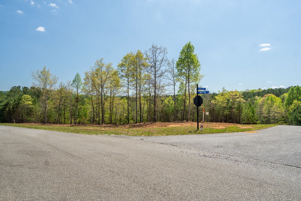 Lot 41 Sandy Lake Lane