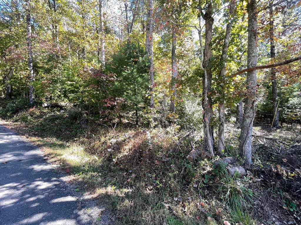 Lot 42 Hiawassee Lake Est