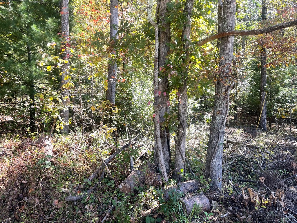 Lot 42 Hiawassee Lake Est