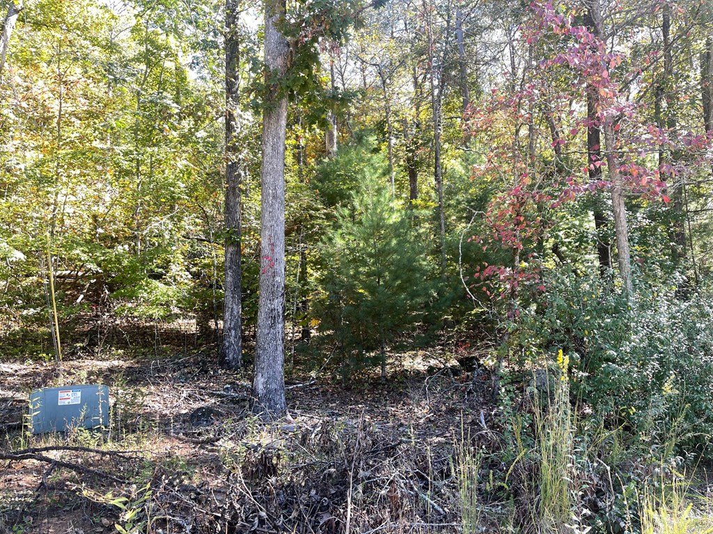 Lot 42 Hiawassee Lake Est