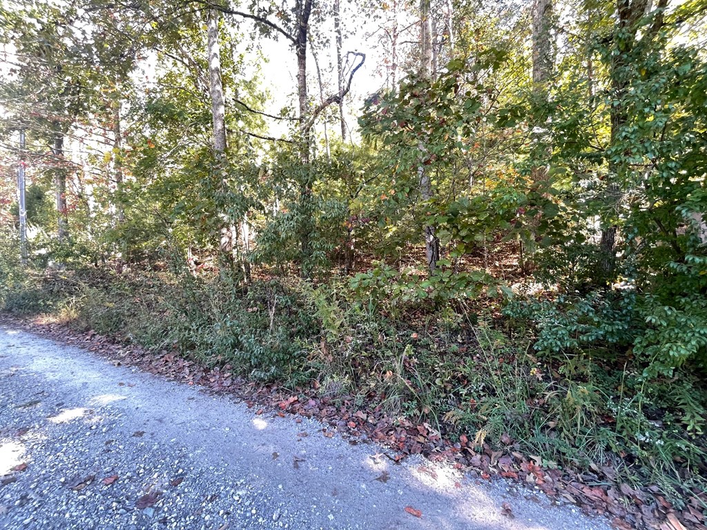 Lot 42 Hiawassee Lake Est
