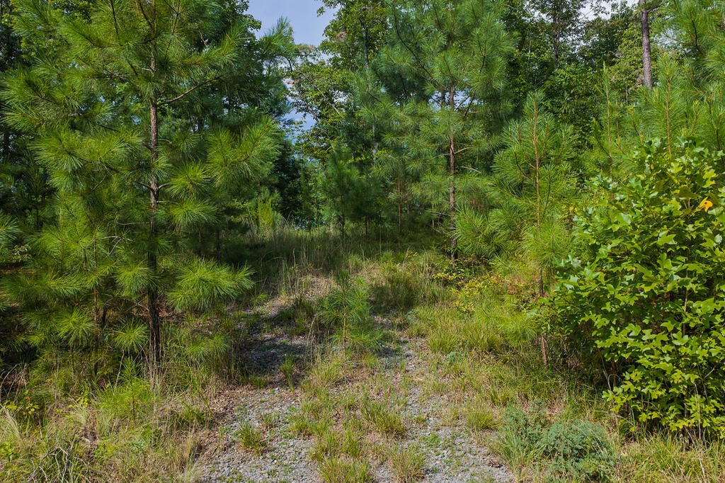 Lot 159R Harris Creek Drive