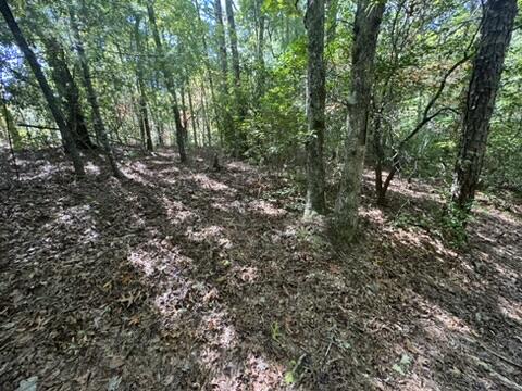 Lot 1 Laurelwood Circle