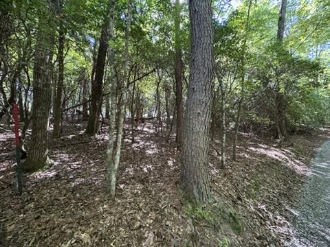 Lot 1 Laurelwood Circle