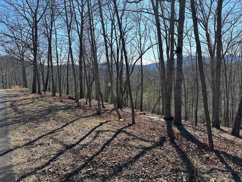 Lot 55 Asheland Cove