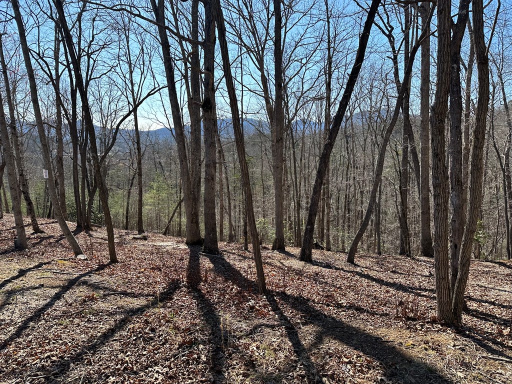 Lot 55 Asheland Cove