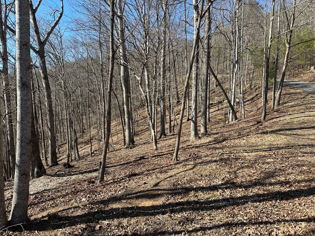 Lot 55 Asheland Cove