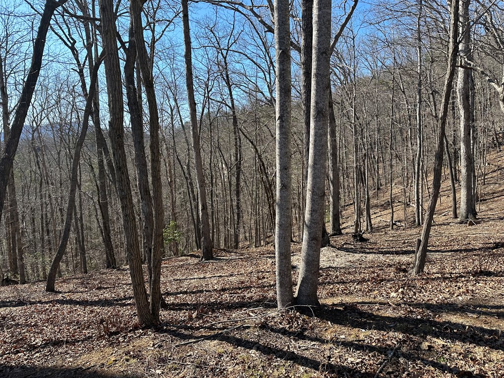 Lot 55 Asheland Cove