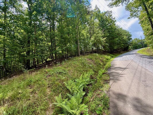 7 STIRRATT RD, RANGER, GA 30734 - Image 4c2b6a17156573e29f1fa49d9be38efc/3120614929