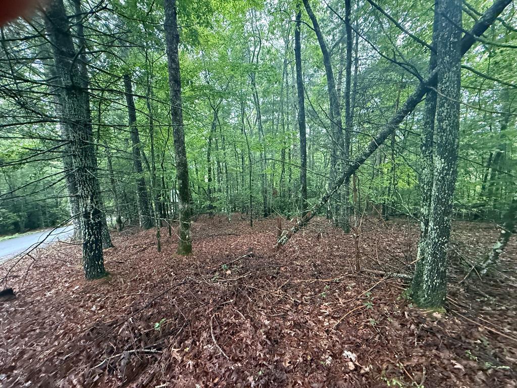 Lot 15 White Pine Drive