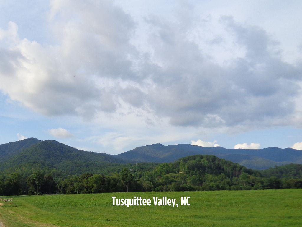 Lot 15 White Pine Drive