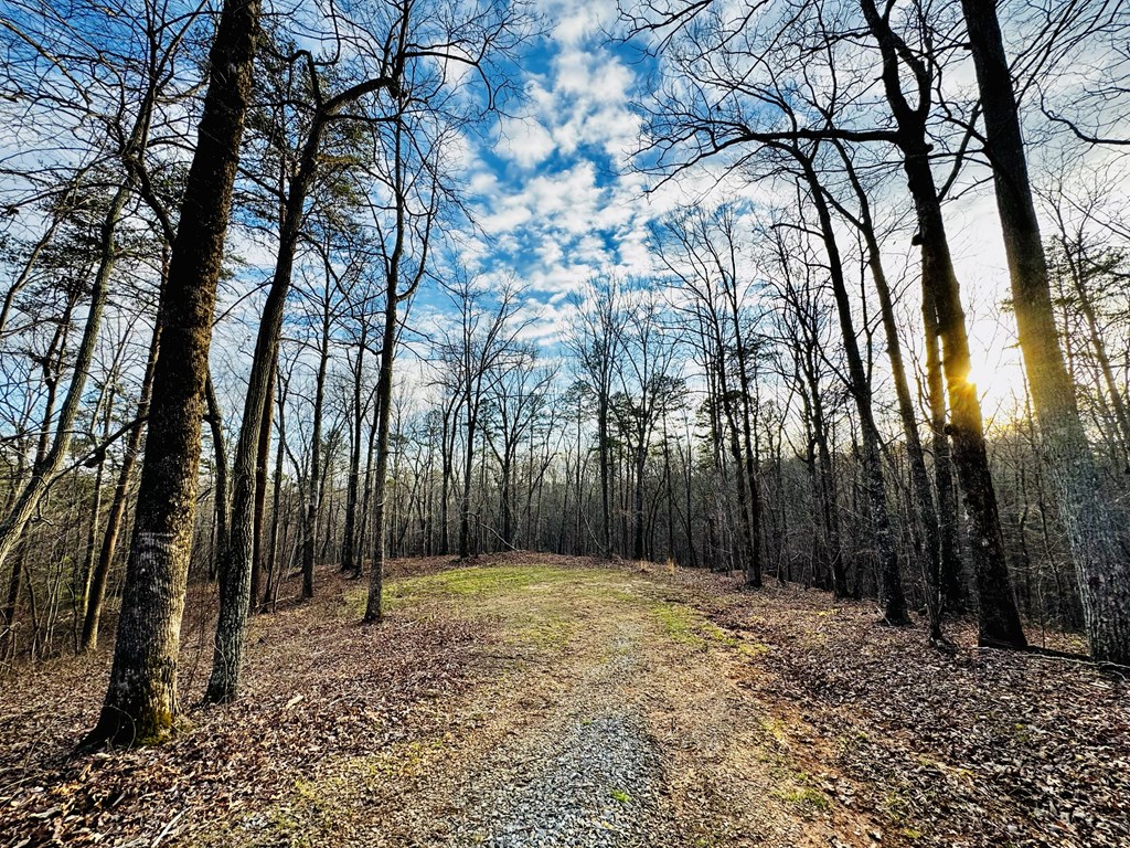 287 Lookout Valley Trail