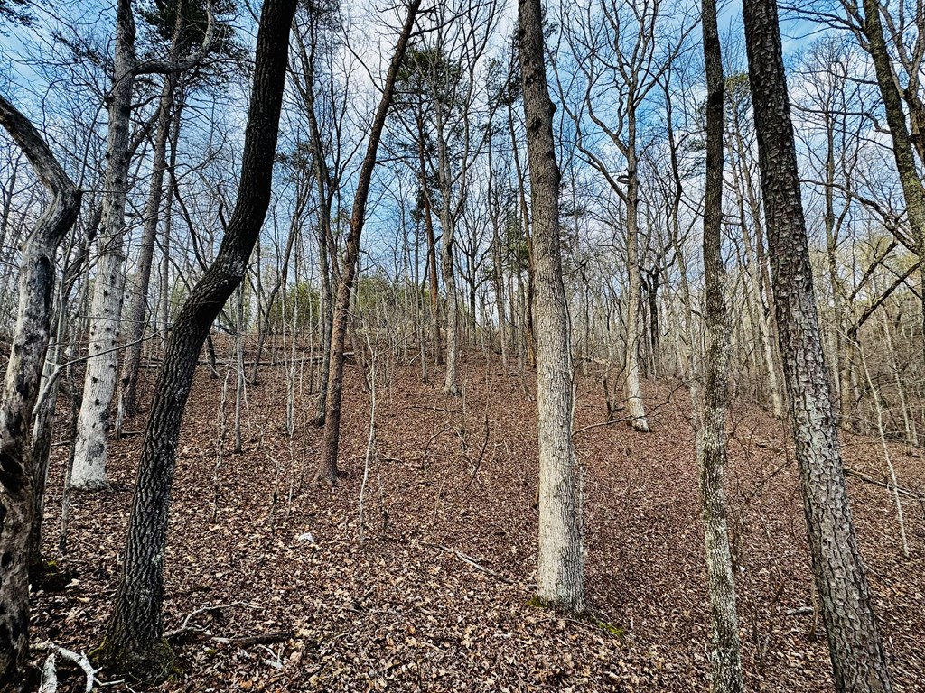 287 Lookout Valley Trail