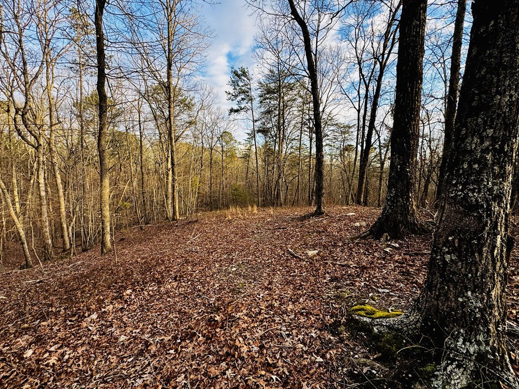 287 Lookout Valley Trail