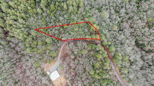 90 BROADTREE RDG, HAYESVILLE, NC 28904 - Image 4cb34863ea6ef71d5bc402d2fc2086df/1831910374