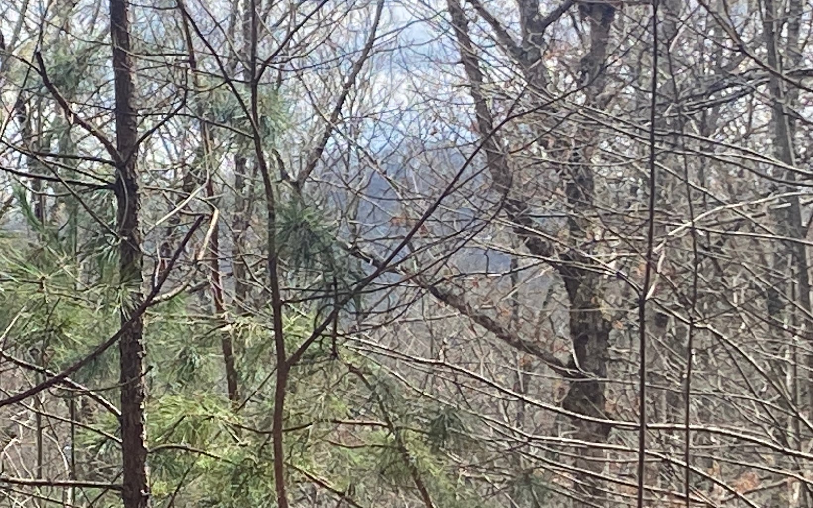 LT 47 Ralston Gap Road