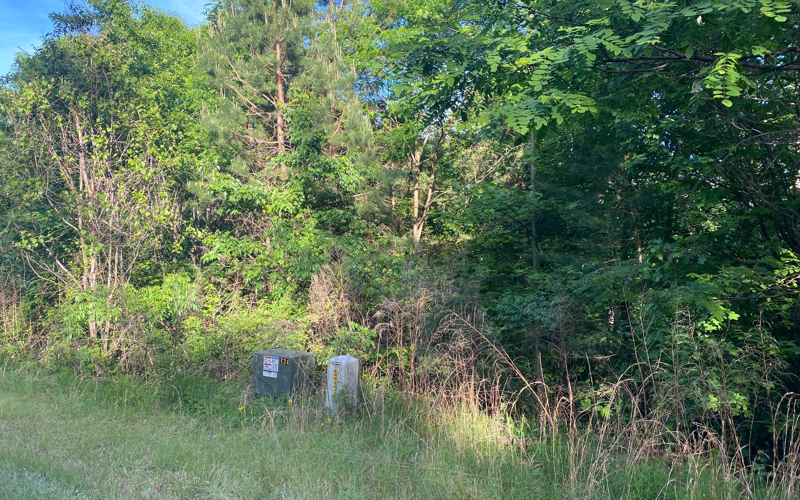 LT 47 Ralston Gap Road